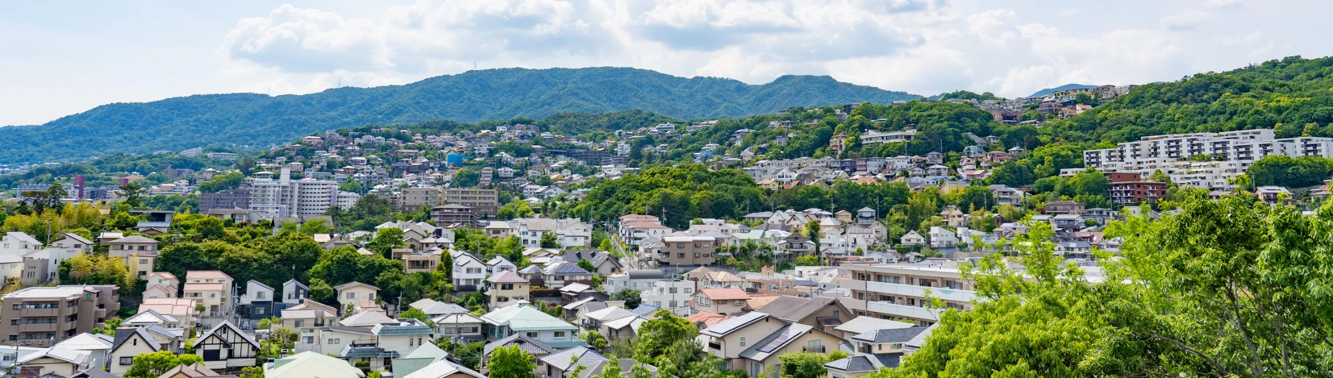 企業情報画像